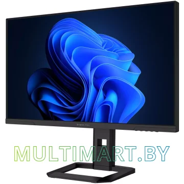 Монитор Digma Pro Action S (DM27SP06) картинка 2